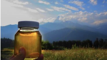 кыргыз куурдак бишкек: Продаю мед оптом. Иссык-кульский примерно 75кг осталось, горный 8кг