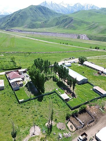 ферма купить: Кошара, 50 соток, Действующий, Частично с оборудованием, Электричество, Канализация, Отопление — 7
