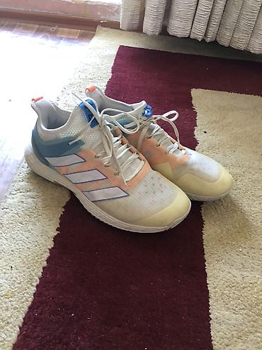 валейболный красовки: Мужские кроссовки, 43, Adidas, Новый — 9