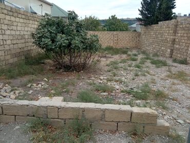torpaq xacmaz: 2 sot, Tikinti, Maklerlər narahat etməsin