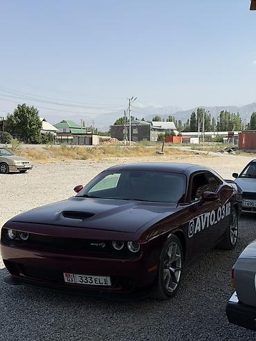 Dodge: Dodge Challenger: 2020 г., Купе — 5