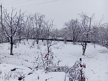 Torpaq sahələrinin satışı: 12 sot, Tikinti, Makler, Müqavilə — 10