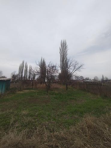 Продажа коттеджей и домов: Продается дом в г. Кара балта 17,5 соток. Мы посадили осенью новый — 29