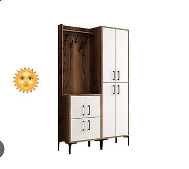 Ev üçün mebel: Dehliz dolabı — 1