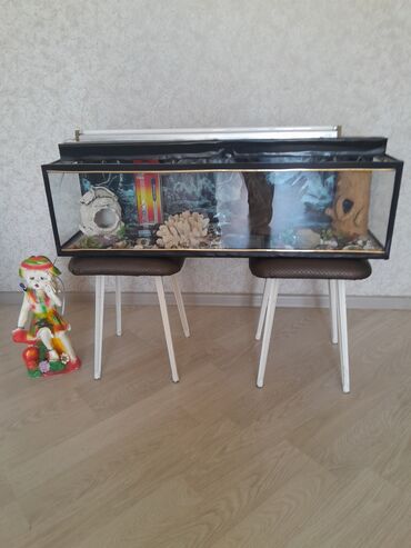 Зоотовары: Hərşeyi var. qızdırıcı . filter . qraduz . və.s. hündürü 26sm. eni