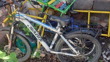 детская велоколяска: Велосипеды