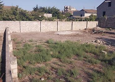 Torpaq sahələrinin satışı: 17 sot, Tikinti, Mülkiyyətçi, Kupça (Çıxarış) — 1