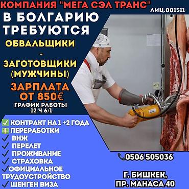 Жумуш - Болгария, Мейманканалар, кафелер, ресторандар, 1-2-жылдык тажрыйба, Форма