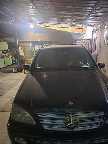 w163: Mercedes-Benz ML-Class: 2003 г., 2.7 л, Автомат, Дизель, Кроссовер — 1