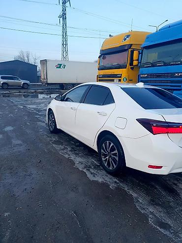 4wd 20132020: Toyota Corolla: 2019 г., 1.8 л, Автомат, Бензин, Седан — 1