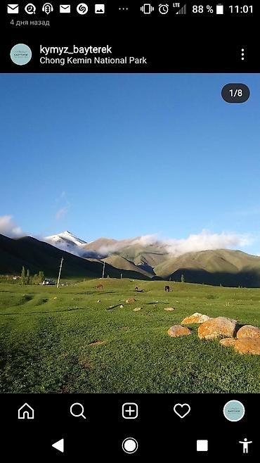 Туристические услуги: Кымызолечение в Чоң-Кемине🏔 130км от Бишкека🛣 Хорошие условия — 15