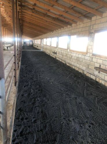 Kommersiya daşınmaz əmlakının satışı: 150 HEKTAR ƏRAZİ satılır İMİŞLİDƏ 110 HEKTAR Mülkiyyət Əkin — 19