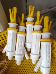 кошку в добрые руки: Toyuq avtosuluk üçün