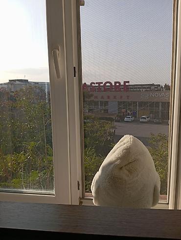 bulbulədə evlər: Bülbülə qəs. 2 otaqlı, 38 kv. m, Kredit yoxdur, Yeni təmirli — 9