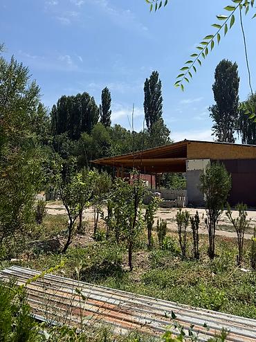 Продажа коттеджей и домов: 🔥 Продается большой шикарный участок по дороге в аэропорт Манас! 📍 — 6