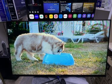 Телевизоры: Телевизор BEKO AU7100 Neo 2025 Android tv с интернетом youtube, 110 см at lalafo.kg — 13 Телевизоры: Телевизор BEKO AU7100 Neo 2025 Android tv с интернетом youtube, 110 см — 13