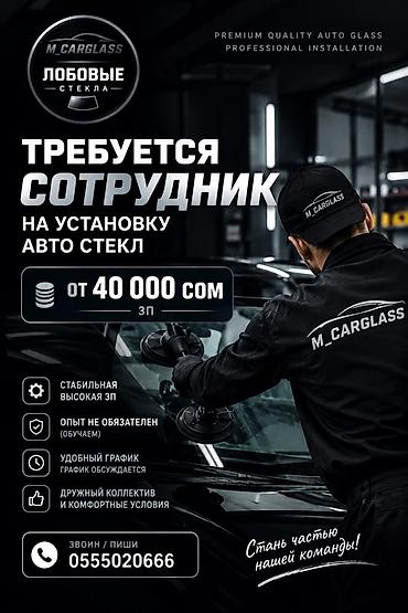 моляр авто: Вакансия: сотрудник на установку автостекол (M.Carglass) - — 1
