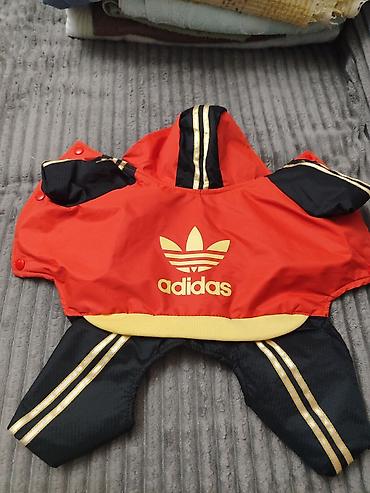 Зоотовары: Тёплая одежда, (две модели),маечки для Йорка 1) Комбинезон/пальто — 5