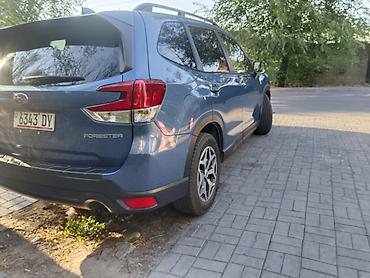 Subaru: Subaru Forester: 2021 г., Кроссовер — 6