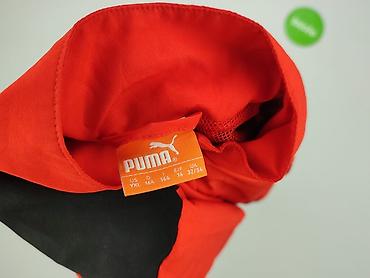 body gamex: Kurtka przejściowa, Puma, 14 lat, 158-164 cm, stan - Bardzo dobry — 5