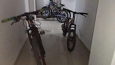 velosiped şini: Salam,2 sini birlikdə satıram ikisinə 550 azn pul vermişəm,təcili — 8