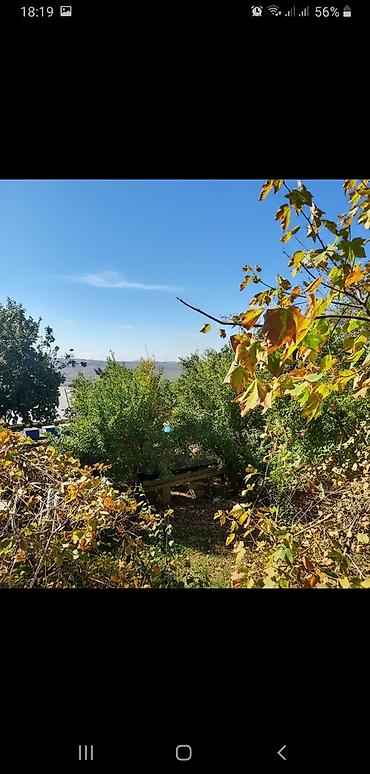 bina.az english: 5 otaqlı, 180 kv. m, Orta təmir — 2