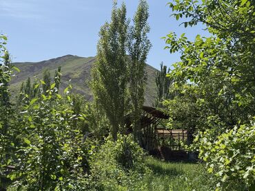 продаю участок дмитревка: Дом, 110 м², 5 комнат, Собственник, Косметический ремонт
