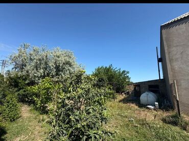 аренда земельного участка сельхозназначения: Для строительства