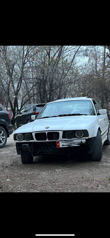 BMW: BMW 5 series: 1995 г., 2.5 л, Механика, Бензин, Седан