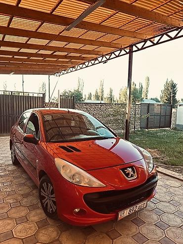 пуди 100: Peugeot 207: 2010 г., 1.3 л, Механика, Бензин, Хэтчбэк — 6