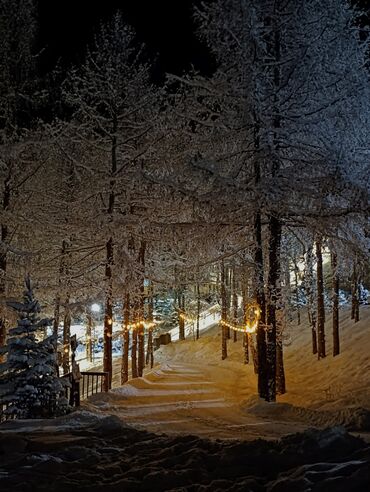 Обшивка лестниц: Лестница — 3