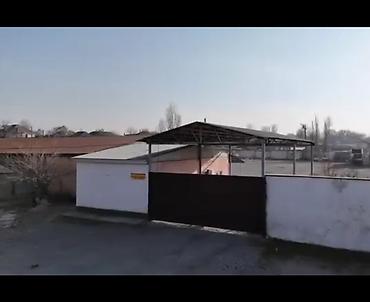 кантенир 20 тоник: 100 соток — 1