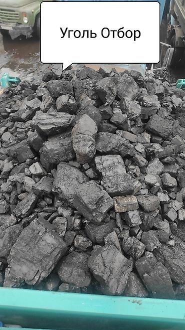 Услуги портера: Грузоперевозки сыпучих материалов!!! Вывоз: Мусора Любых видов: Отцев — 10