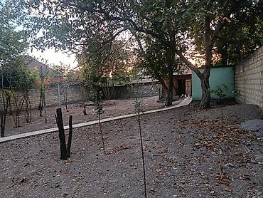 ev alqi satqi kiraye: 4 otaqlı, 700 kv. m, Yeni təmirli — 4