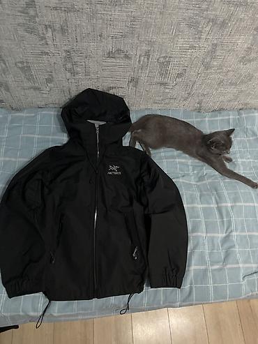 дордой одежды: Мужская куртка, L, Arcteryx, Новый, цвет - Черный, Самовывоз, Платная доставка — 2
