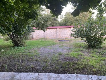 Bağ evlərinin satışı: Bakı, 1200 kv. m, 5 otaqlı, Hovuzsuz, İnternet, Artezian quyusu, Su -da lalafo.az — 7 Bağ evlərinin satışı: Bakı, 1200 kv. m, 5 otaqlı, Hovuzsuz, İnternet, Artezian quyusu, Su — 7