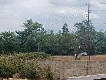 Torpaq sahələrinin satışı: 20 sot, Tikinti, Mülkiyyətçi, Kupça (Çıxarış) — 16