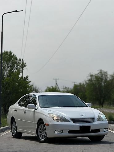 Toyota: Toyota Windom: 2003 г., 3 л, Автомат, Бензин, Седан — 2