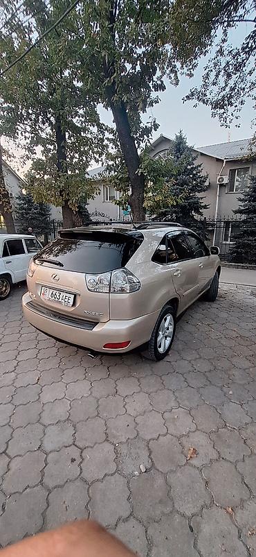 Lexus: Lexus RX: 2004 г., 3.3 л, Автомат, Бензин, Кроссовер — 3