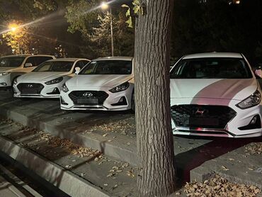сдаю авто в аренду хундай соната: Даю в аренду под такси: Hyundai Sonata, 2019–2020 гг. выпуска. —