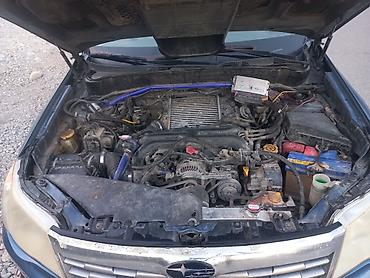 Subaru: Subaru Forester: 2008 г., 2.5 л, Автомат, Газ, Кроссовер — 12