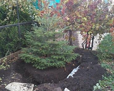 Уборка территории: Уборка территории — 9