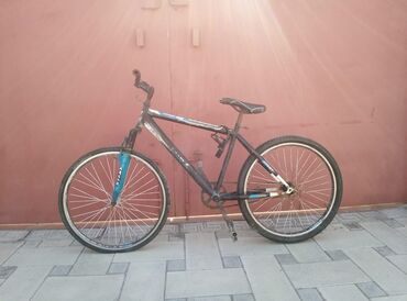 velosepetlər: 26tılıp veloziped
