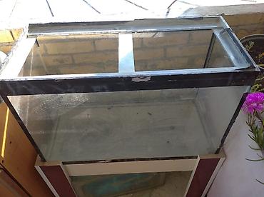 akvarium satilir: Dördbucaq akvarium, Boş, 90 l, Ünvandan götürmə — 4