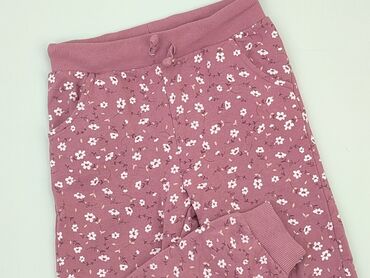 kurtki jesien: Sweatpants, SinSay, 5-6 years, 116, condition - Good