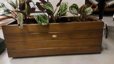 Vazalar: Metal — 11