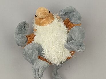 Mascot condition - Perfect