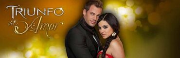 robin hood dvd: Trijumf ljubavi - telenovela(triunfo del amor) cela serija, sa