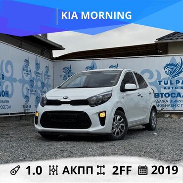 какие машины входят в комфорт яндекс такси в бишкеке: Kia Morning: 2019 г., 1 л, Автоматтык, Бензин, Хетчбек