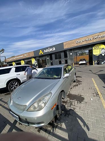 тайота виста ардео: Toyota Windom: 2004 г., 0.3 л, Автомат, Бензин, Седан — 2